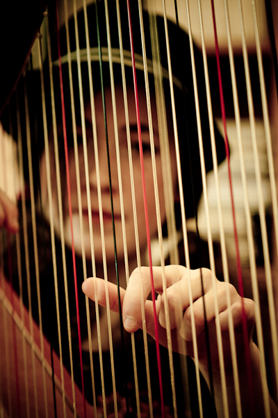 Harp Festival (43 of 54).jpg